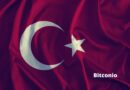 Turchia: Vebitcoin cessa l’attività